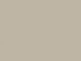 Elegant Gray