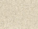 Sahara