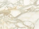 Calacatta Dorato