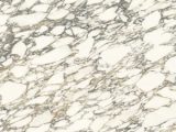 Optimum Arabescato Corchia